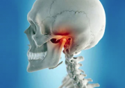 temporomandibular